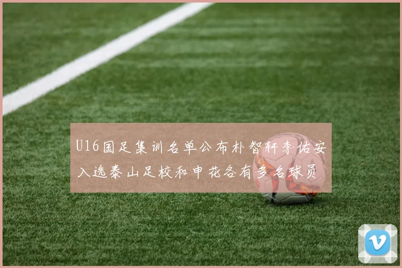U16国足集训名单公布朴智轩李佑安入选泰山足校和申花各有多名球员参与
